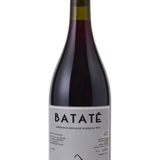 Clara Marcelli 'Bataté' 2023
